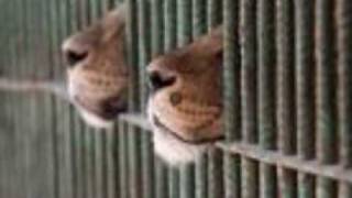 MARIA MENA...MY LULLABY