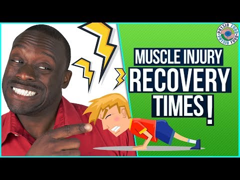 Pulled Muscle Recovery Times