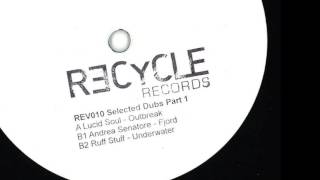 REV010 Andrea Senatore - Fjord (Recycle Records) Vinyl Only
