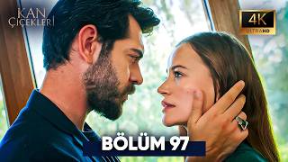 Kan Çiçekleri 97. Bölüm 4K Ultra HD