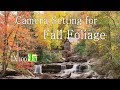 Camera Setting Tip for Shooting Fall Foliage