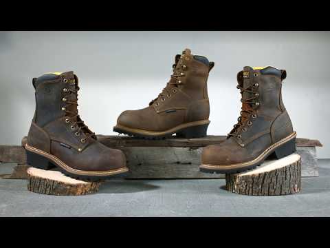 Carolina POPLAR Logger