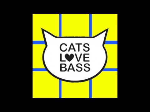 Joe Fisher - Wide (Vin Vega & Lex Green Remix)