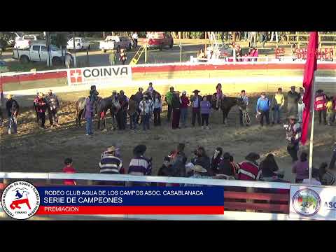 RODEO CLUB DE HUASOS AGUA DE LOS CAMPOS ASOCIACION CASABLANCA FENARO
