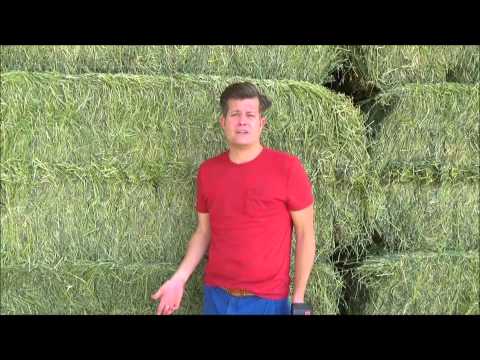 image-How much does a hay dryer cost?