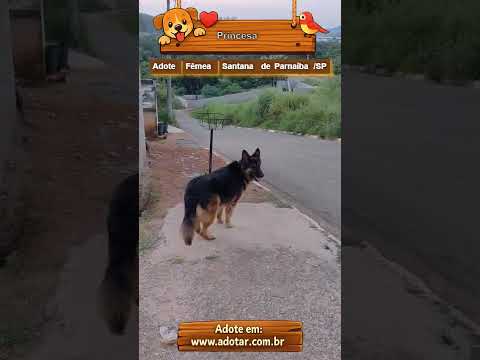 Vídeo de Princesa