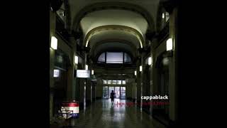 cappablack - defying gravity