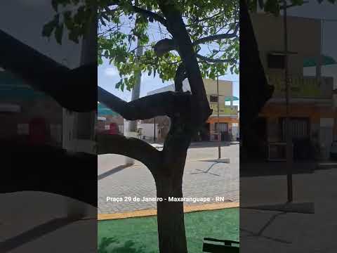 PRAIAS - RN - MAXARANGUAPE     Praça 29 de Janeiro