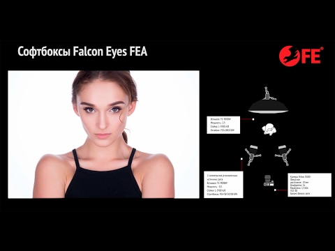 Миниатюра изображения товара Софтбокс Falcon Eyes FEA-SB 6060 BW / 20278