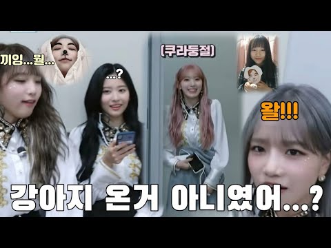 아이콘