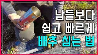 [김장 배추 심기] 부탄가스 통으로 배추 모종 심는 기발한 방법! 초보 농부도 3배 빠르게 심는 법 (fea…