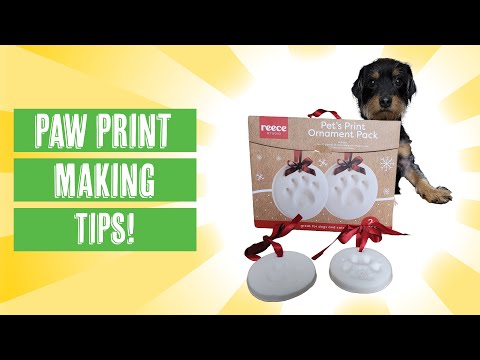 How to Make A Print of Your Dog's Paw | Paw Print Ornament Review