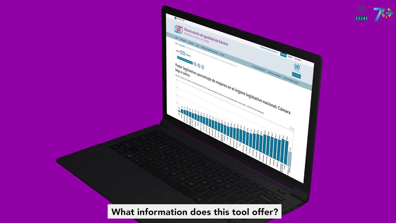 The Gender Equality Observatory for Latin America and the Caribbean (GEO)