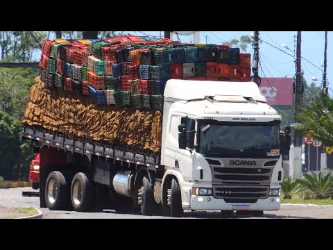 não é loucura é a verdura ficando madura