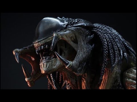 Predalien Vs Earth Angel Xeno