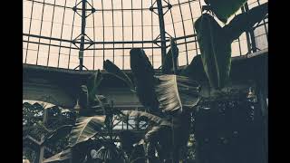 ondi vil - poison in the brain (ft. shiloh)