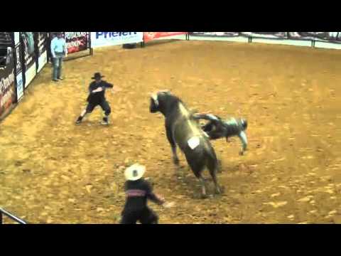 Bull Lost Hotel NBBA Ft. Worth