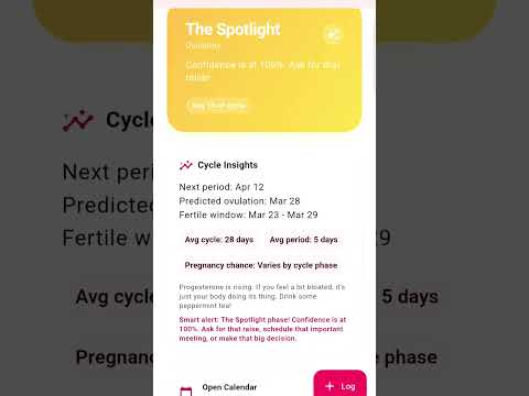 Orbit Cycle