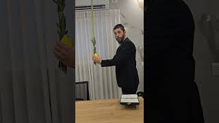 סדר הברכות והנענועים בארבעת המינים - #הרב_שמואל_זר (הרב רפאל זר) - התמונה מוצגת ישירות מתוך אתר האינטרנט יוטיוב. זכויות היוצרים בתמונה שייכות ליוצרה. קישור קרדיט למקור התוכן נמצא בתוך דף הסרטון