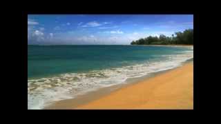 MARTY ROBBINS - Drowsy Waters (Wailana) - 100% Hawaiian!
