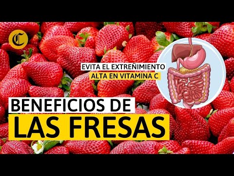 PROPIEDADES y BENEFICIOS de las FRESAS 🍓 que ayudan a tu sistema inmunológico