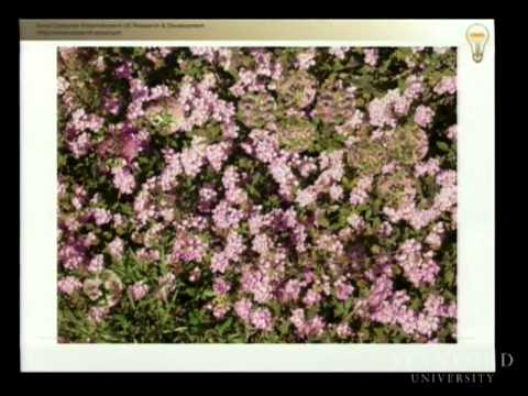 Stanford Webinar When Your Big Data Seems Too Small