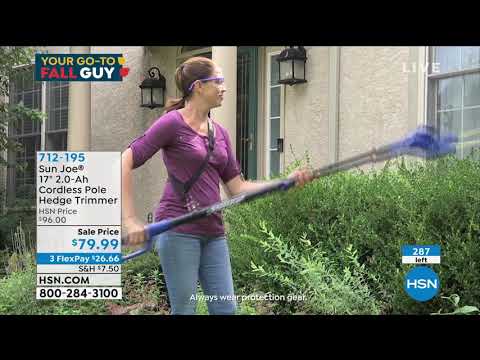 Sun Joe 17" 2.0Ah Cordless Pole Hedge Trimmer