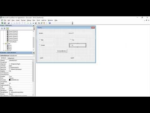 Excel VBA Tutorial for Beginners 66 - Frames in MS Excel VBA
