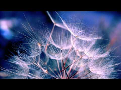 Aes Dana - Antimatter (Ante & Post)