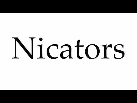 How to Pronounce Nicators