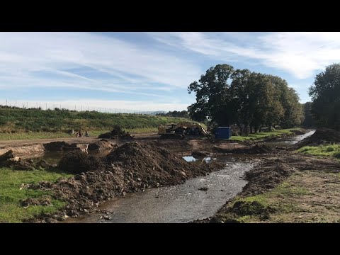 Renaturierung Erft Euskirchen Update 10.10.2021