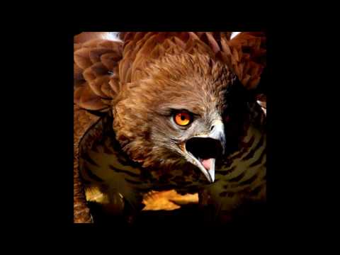 DeRote - Traumzauber - Bote des Lichts