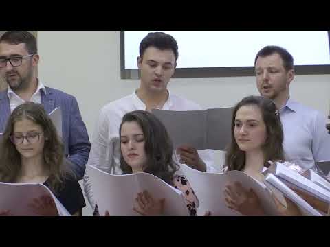 Cor Viena - Pe-un deal singuratic