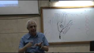 Dr.Medhat - Anatomy Revision (1) - UL - Part 2