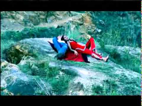 Pashupati ma kamala Dashain ko luga kamala tihar ma fatyo