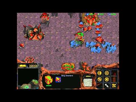 Starcraft 1: Retribution - Zerg 04 - Battlefield Aridas