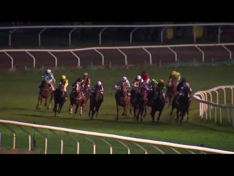 2016.05.18 Täby Galopp Final - Välkomna Till Bro Park (SWE) - Little Warrior