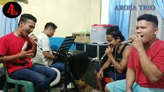 Download lagu burju do inang panggatti mi (sungke sungke)  vocal arosa trio.  cipt, Drs. julung panjaitan mp3