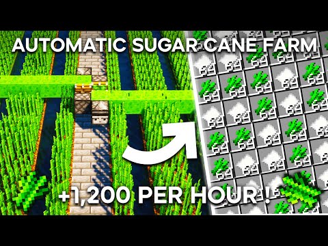 Minecraft Sugar Cane Farm 1.19 - 1,300+ PER HOUR !