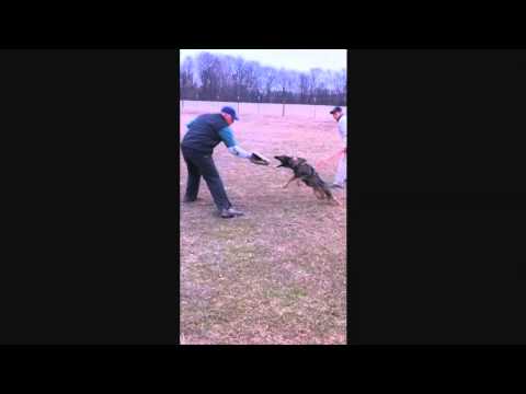 Frau Protection iPhone video