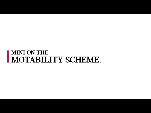 MINI Motability Scheme