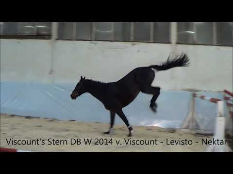 1 Viscount's Stern v  Viscount