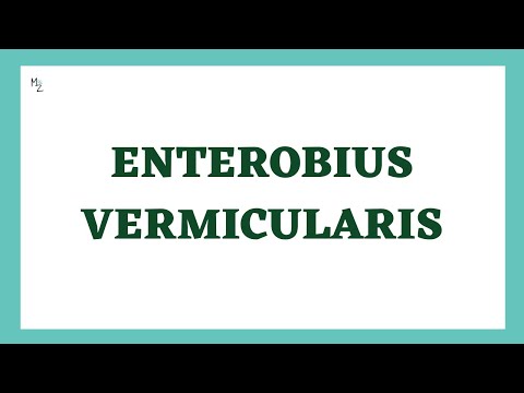 Enterobius Vermicularis | Pin Worms | Enterobiasis | Nematodes | Parasitology