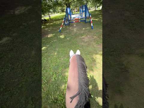 Are we on beat?? 🤩 #hobbyhorse