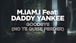 Goodbye (No Te Quise Perder) song artwork