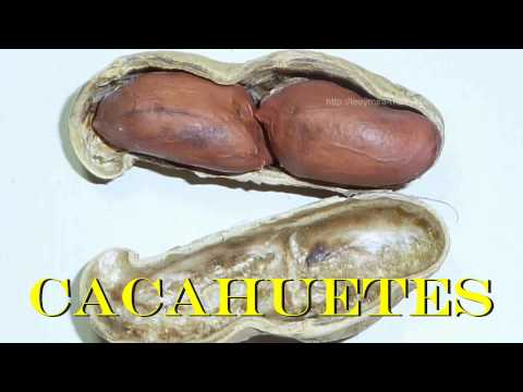 FRUTOS SECOS otoño1