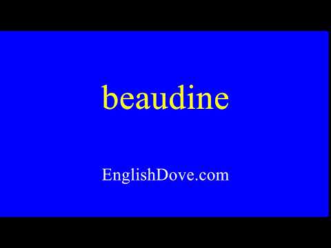 How to pronounce beaudine in American English.