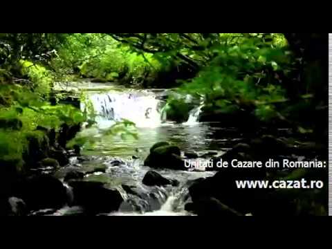 Cazare Petea, Cluj - Cazat.ro