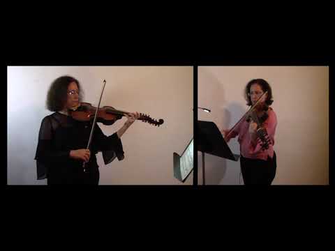 3 Divertissements for viola d'amore by Carl Stamitz