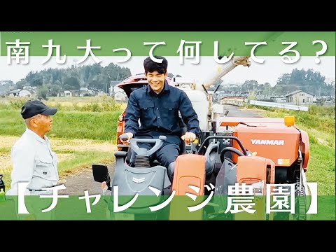 【チャレンジ農園2023】コンバインの操縦【稲作部門】